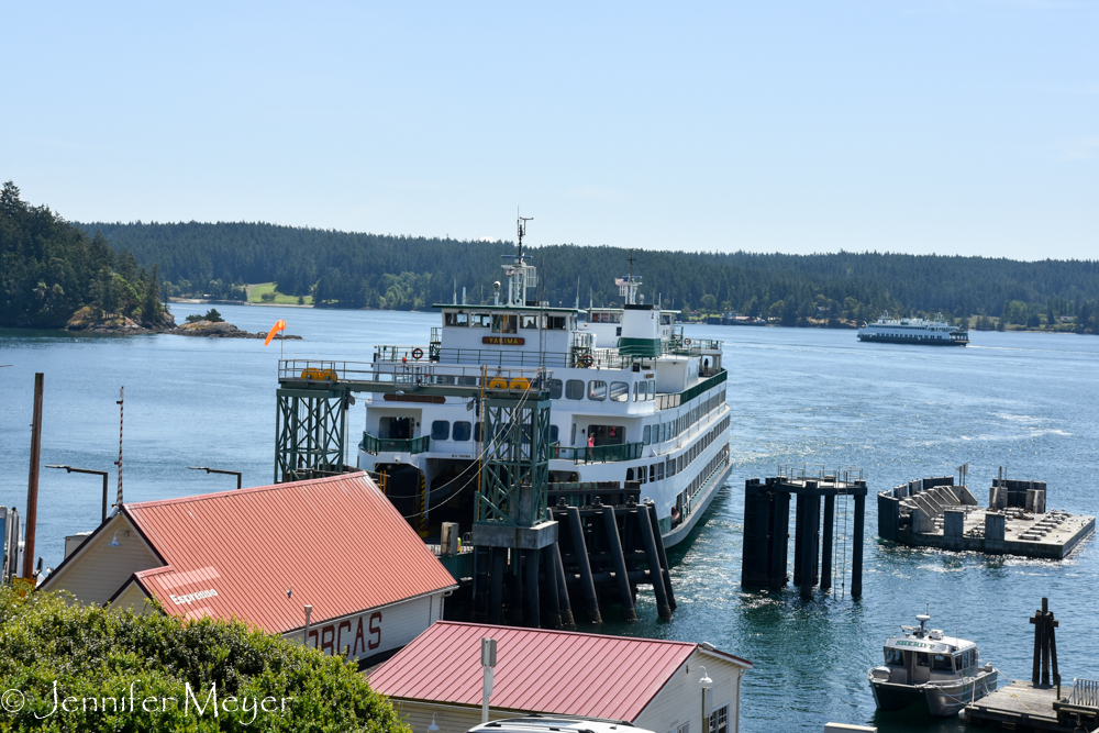 It was a packed boat.