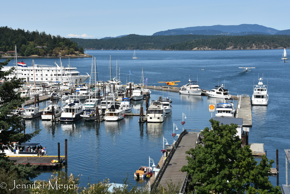 View of the harbor from a park.