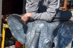 Kid on the elephant ride outside.