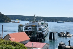 It was a packed boat.