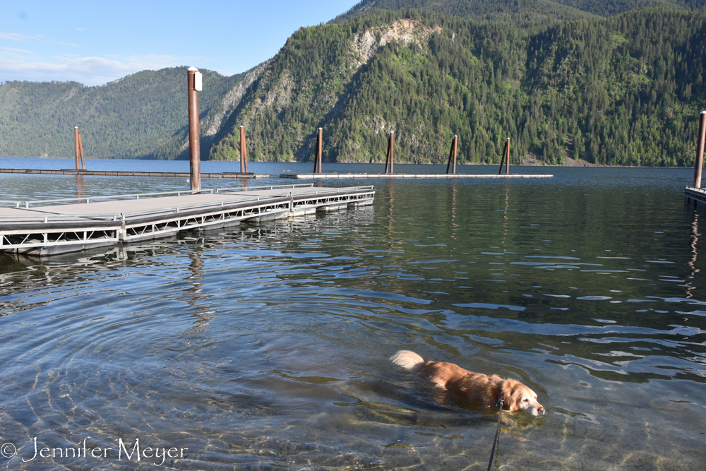 Bailey swam at the empty boat launch.