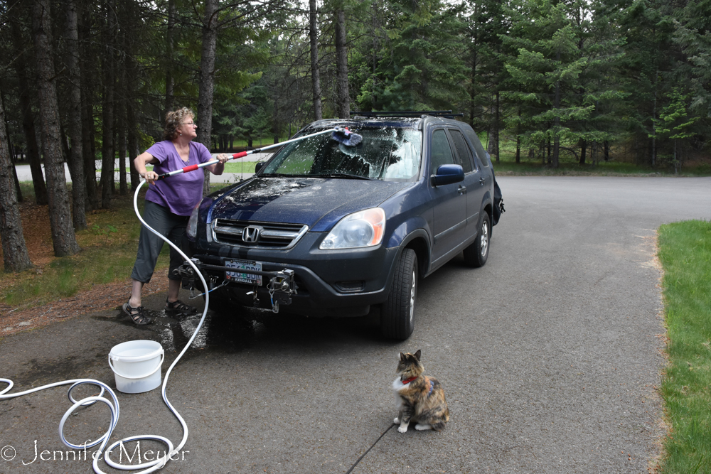 Seemed like a good time to wash for Toadie.