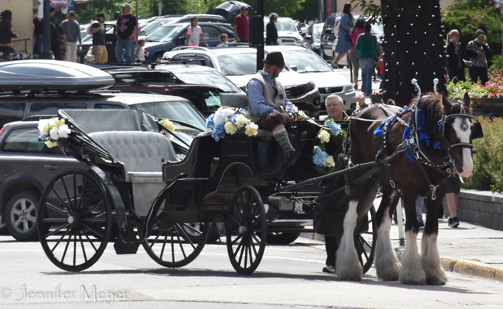 Horse and carriage.