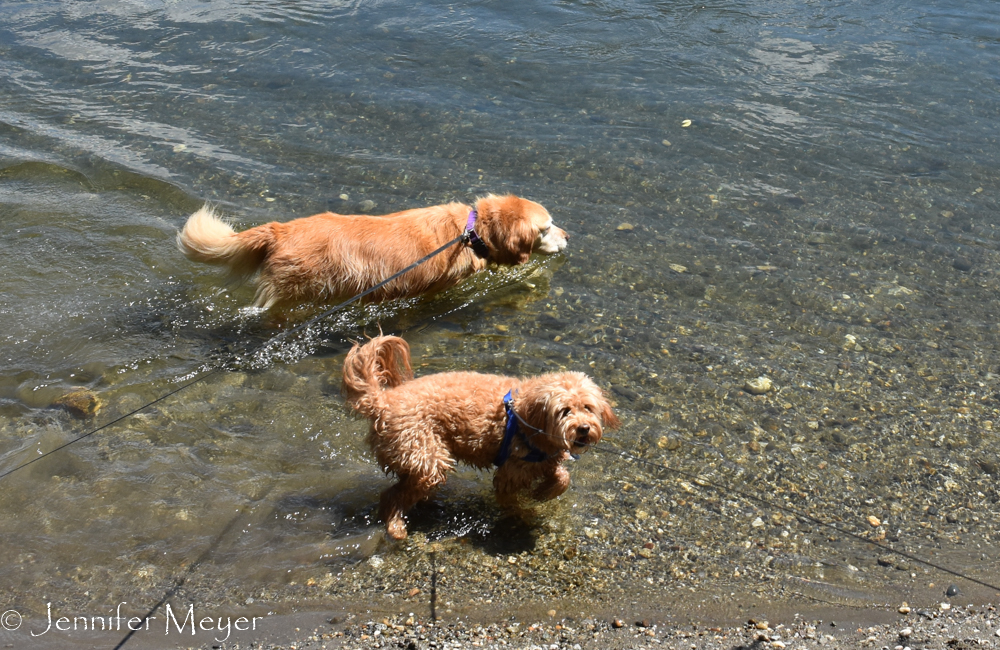 They got a quick dip.