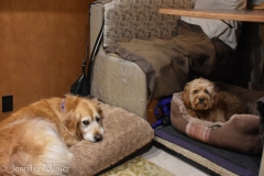 Zoe and Bailey sleepover.