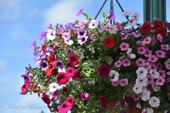 Lots of flower pots.