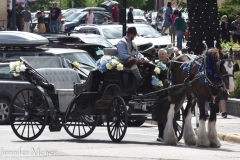 Horse and carriage.