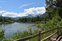 We hiked with the dogs along the Wenatchee River.