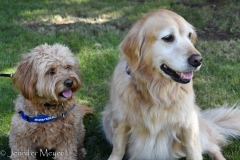 Bailey and Zoe had to say goodbye.