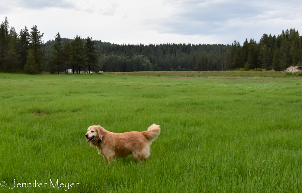 We faced a beautiful grassy field.