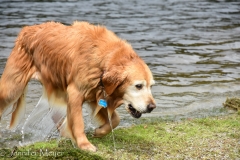 Back to shore with a ball.