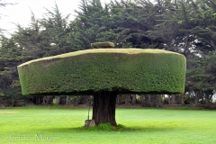 How does someone even reach to the top to do this?