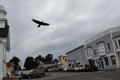 Many of the buildings have been restored, however.