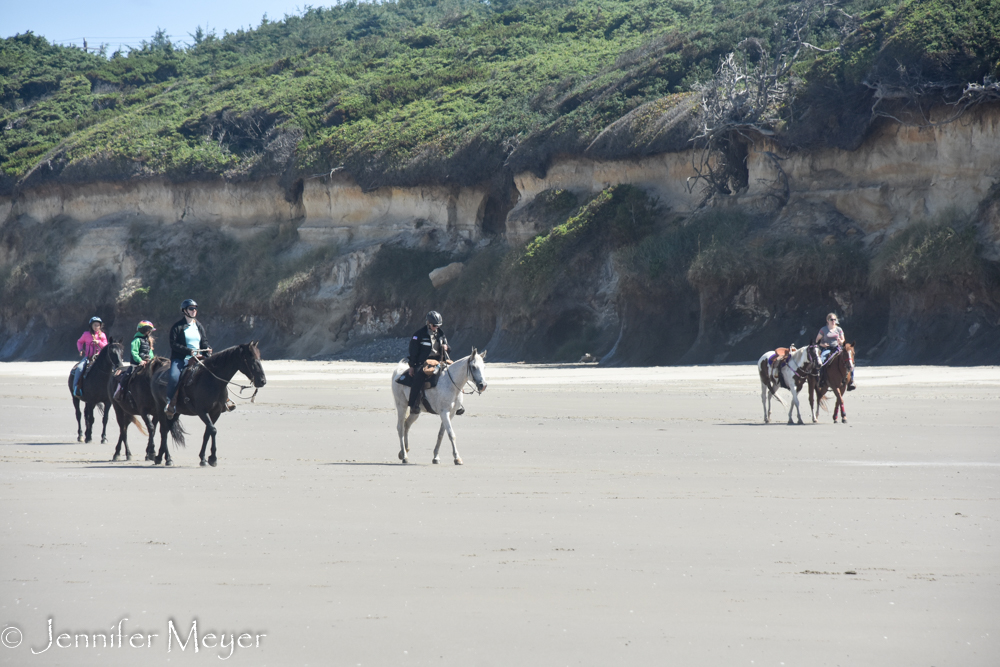 Horses on the beach.