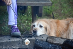 Bailey loves roasted marshmallows.