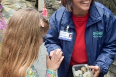 Maddie checks out egg sizes.