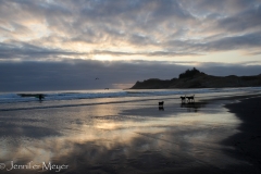 Her dogs were waiting for her on the beach.