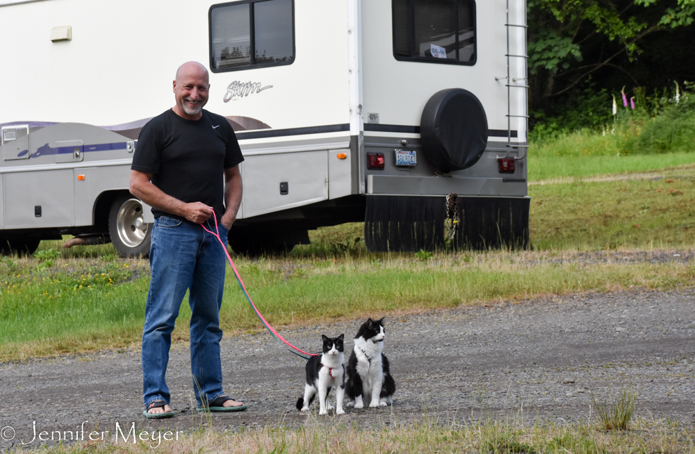 Another cat walker!