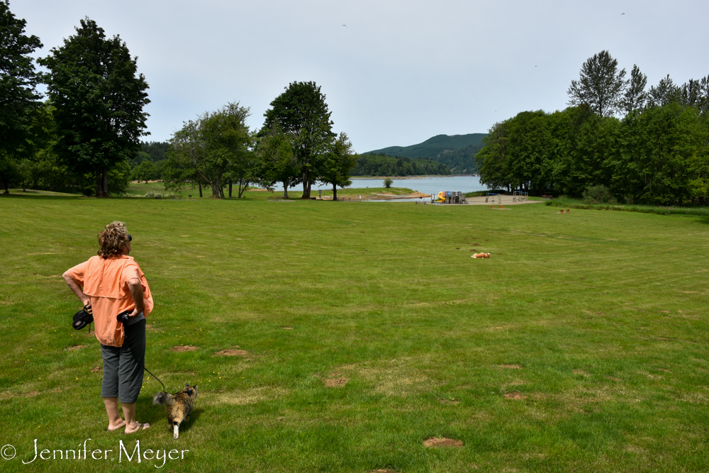 There wasn't a soul in this huge park, so we let Bailey run free for a while.