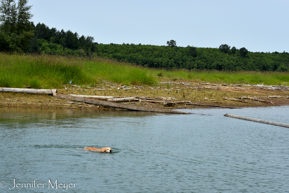 She got to swim, of course.