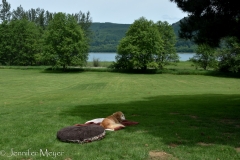 We were ready to relax in the shade when we realized we'd left our lunch behind!