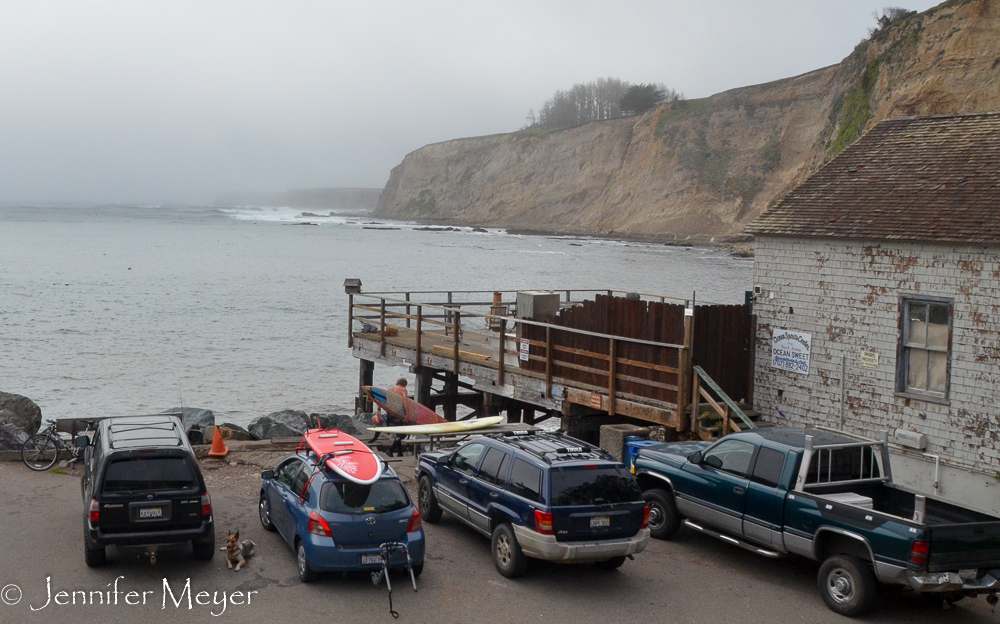 We watched surfers arrive for an evening ride.