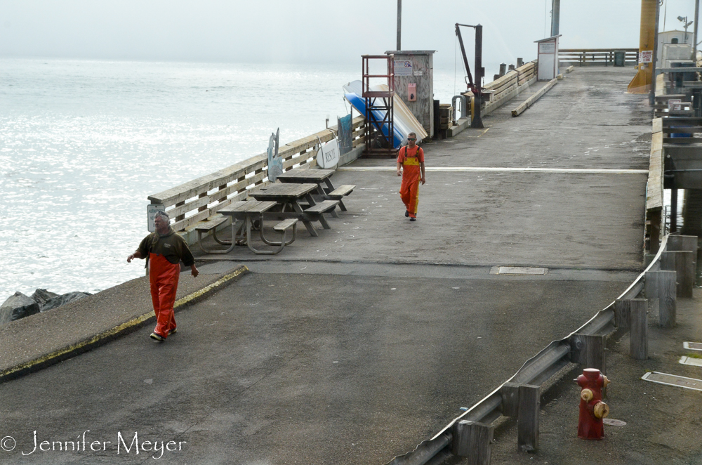 And fishermen coming home from a long day's fishing.