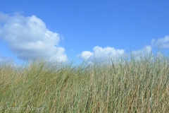 Such a beautiful day!