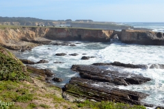 Driving away from the lighthouse, we noticed...