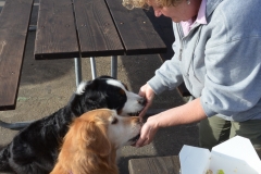 Equal bits for each.