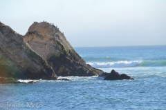 It made the long drive worth it, but we still had to drive back to Cloverdale.