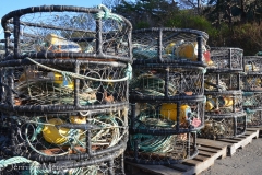 Crab traps.