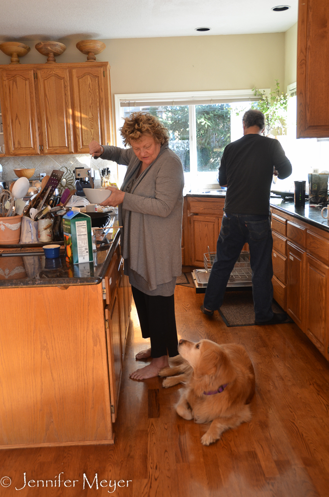 Bailey was right at home in the dog-friendly house.