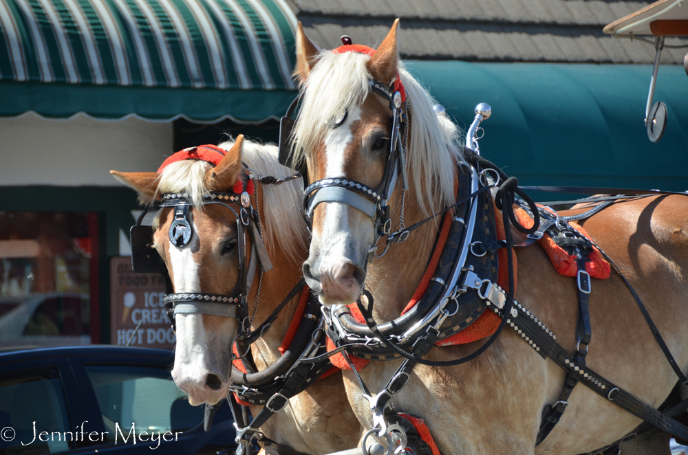 It was really busy on a warm Sunday afternoon.