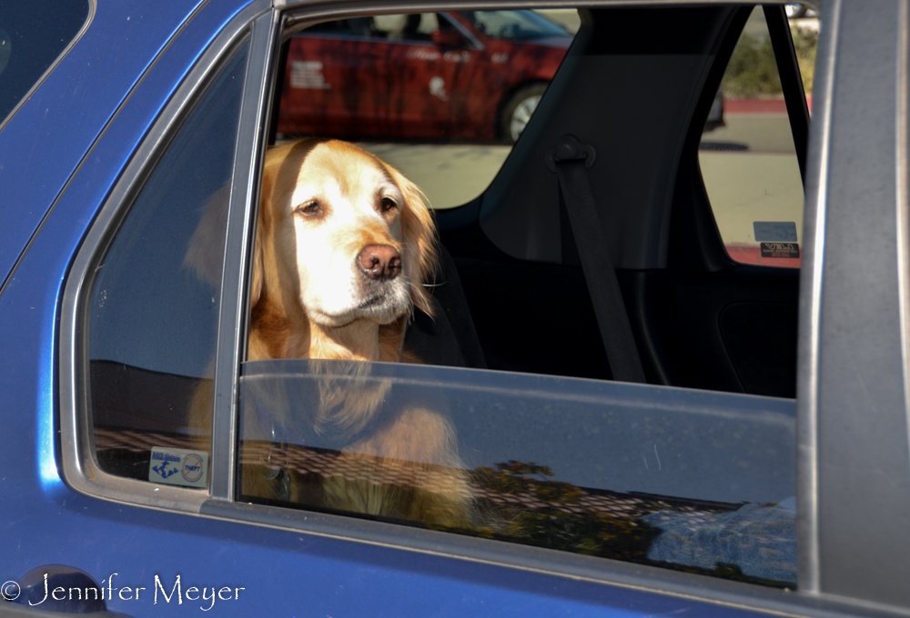 We told Bailey to watch for someone special.