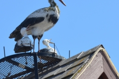 Kate used to come here as a child when she lived in Camarillo.