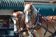 It was really busy on a warm Sunday afternoon.