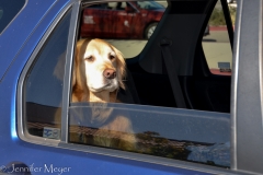 We told Bailey to watch for someone special.