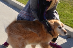 Bailey had a fit seeing her favorite girl again.