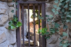 The bars are old Model T axels.