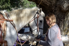 Aly has always loved horses.