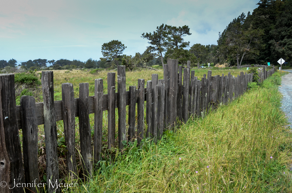 Miles and miles of weathered wood fence line Highway 1.