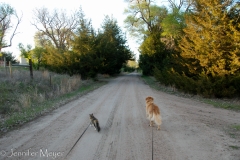 After riding in Bessie all day, the fur kids were eager for a walk.
