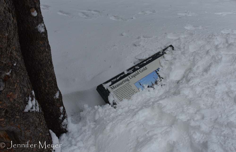 So much snow it buried the sign.