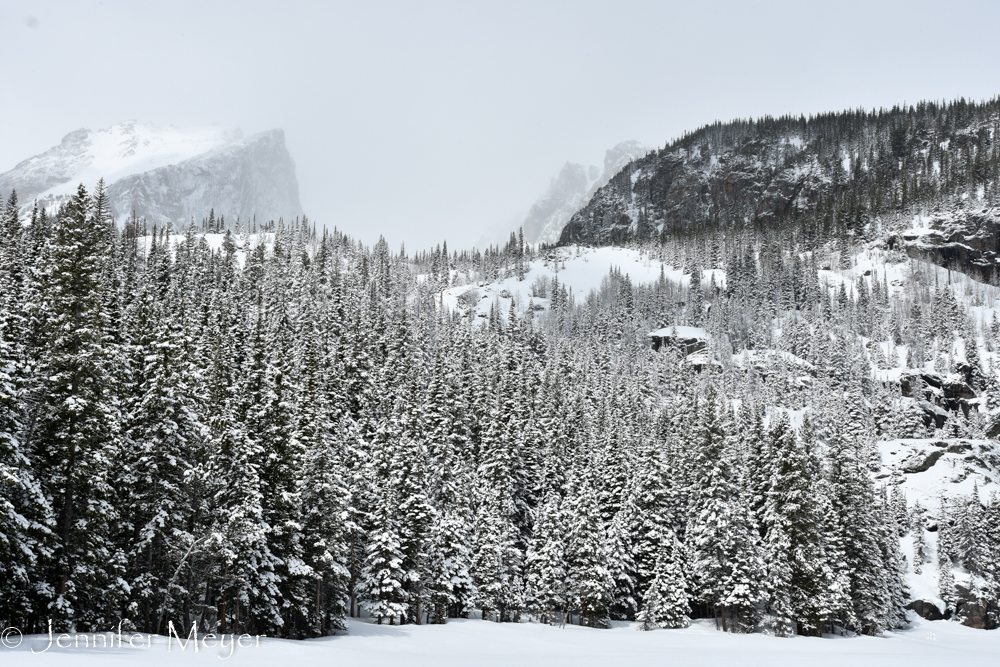 So beautiful after the recent snow.