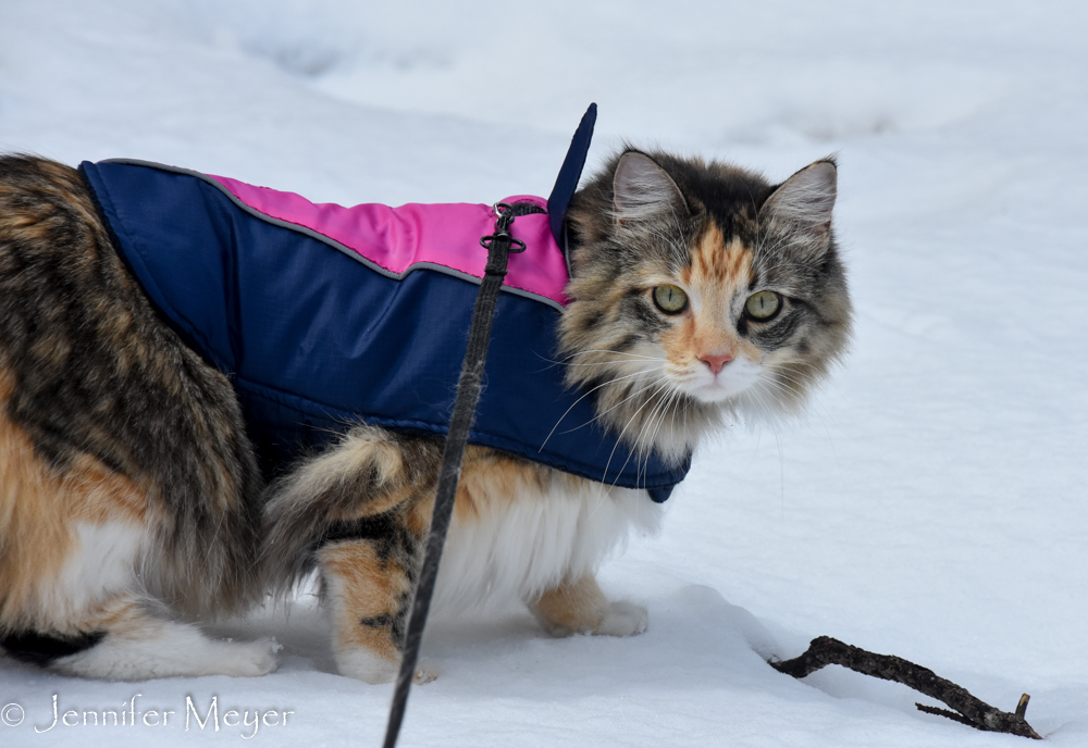 "What are you doing to me?"