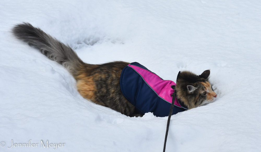 "I could die in this stuff!"