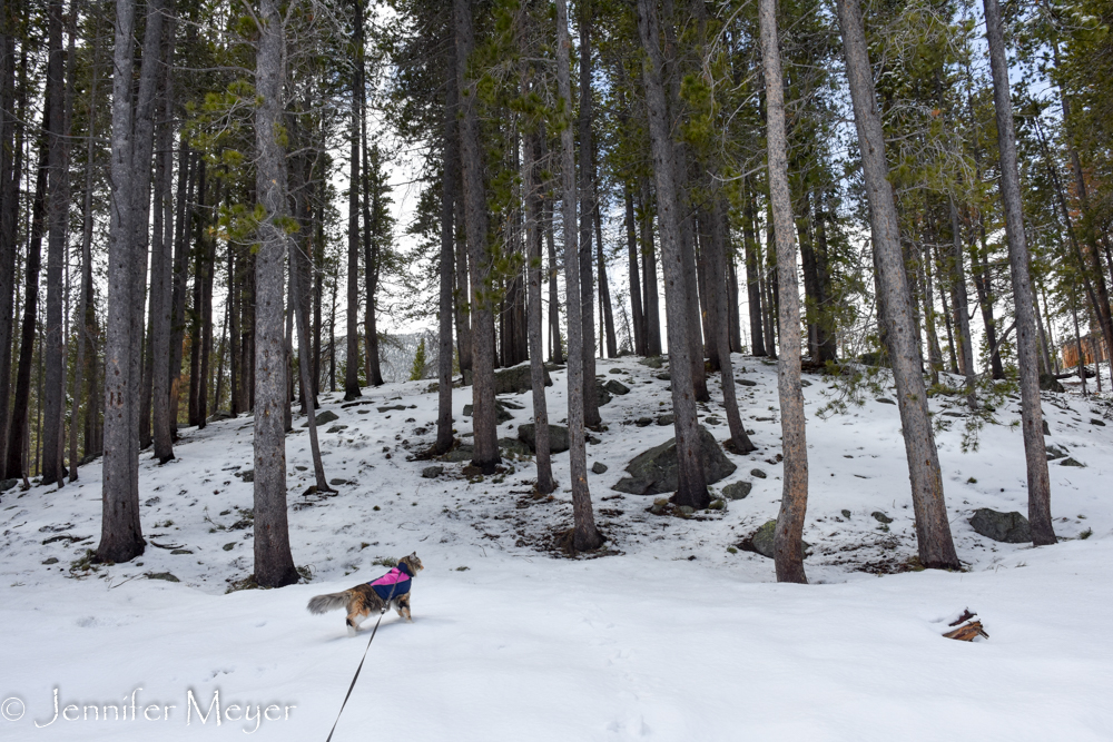 But she gets braver.