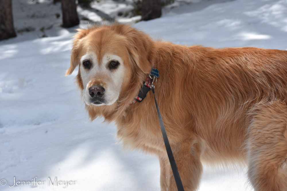 Bailey is in her element.