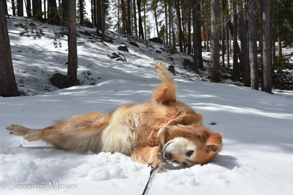 "Here's what snow is for!"